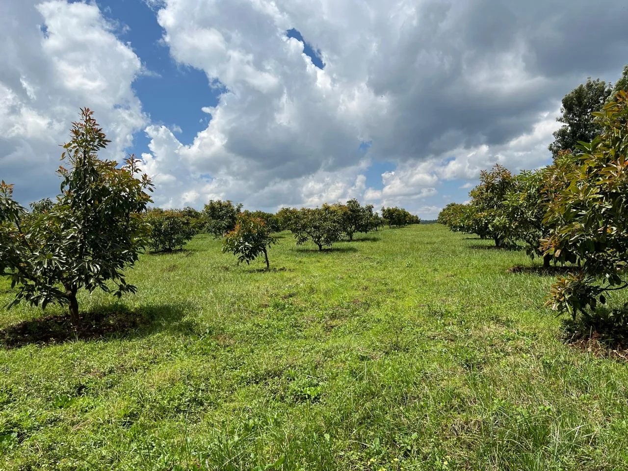 8BEE5E10-010A-46E5-93D6-705F9B0D61DF