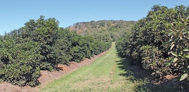 AD139502 062D 456C 9A55 507AF4ED8E8F