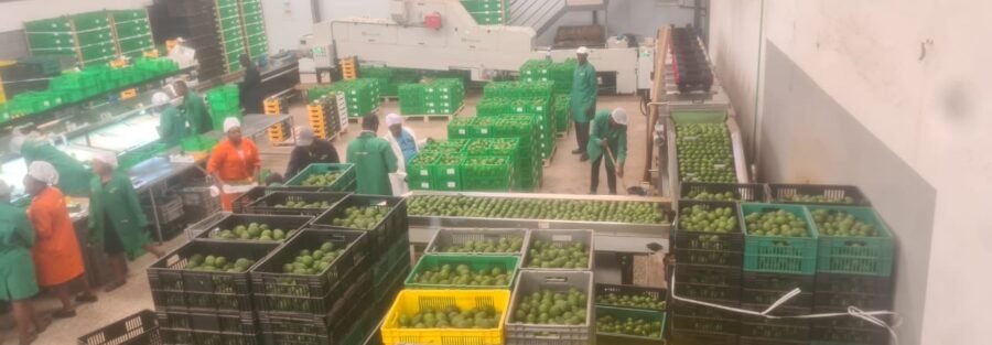 BC4DDAF2 C832 47D5 9DC0 64B66DE08681