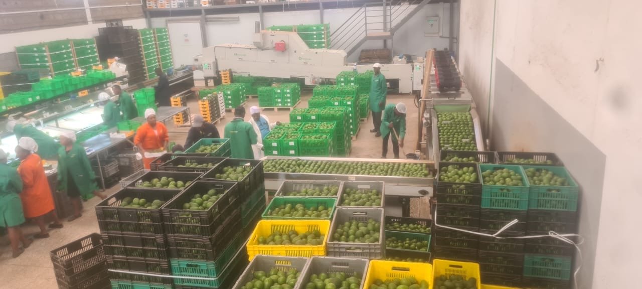 BC4DDAF2 C832 47D5 9DC0 64B66DE08681